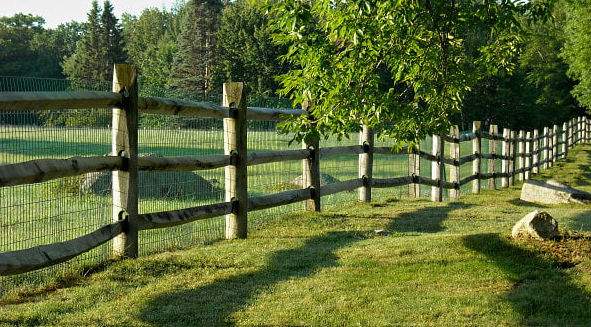 rail fence with wire mesh